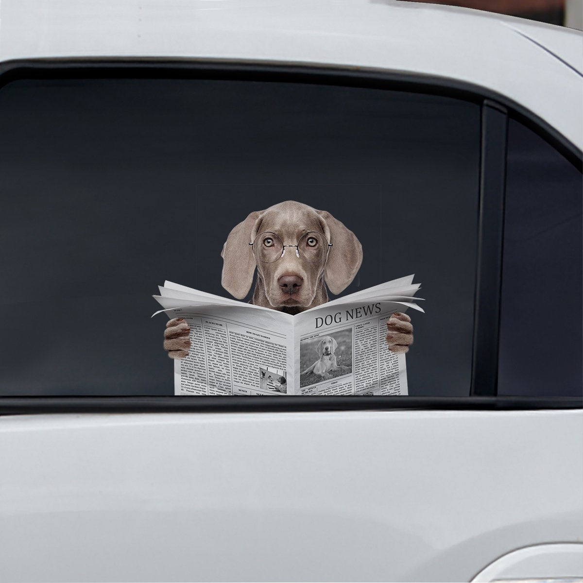 we-are-the-best-place-to-buy-have-you-read-the-news-today-weimaraner-car-door-fridge-laptop-sticker-v1-fashion_0.jpg