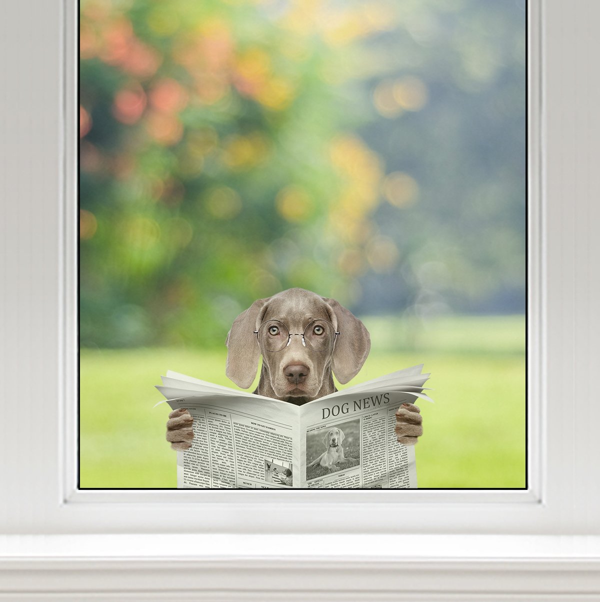 we-are-the-best-place-to-buy-have-you-read-the-news-today-weimaraner-car-door-fridge-laptop-sticker-v1-fashion_2.jpg