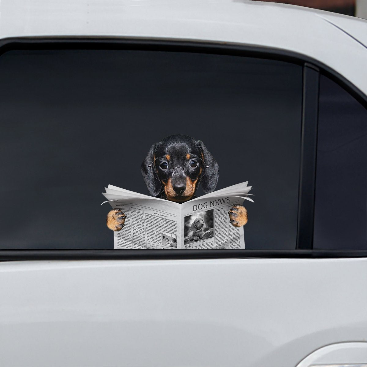 youve-never-seen-have-you-read-the-news-today-dachshund-car-door-fridge-laptop-sticker-v1-online-now_0.jpg