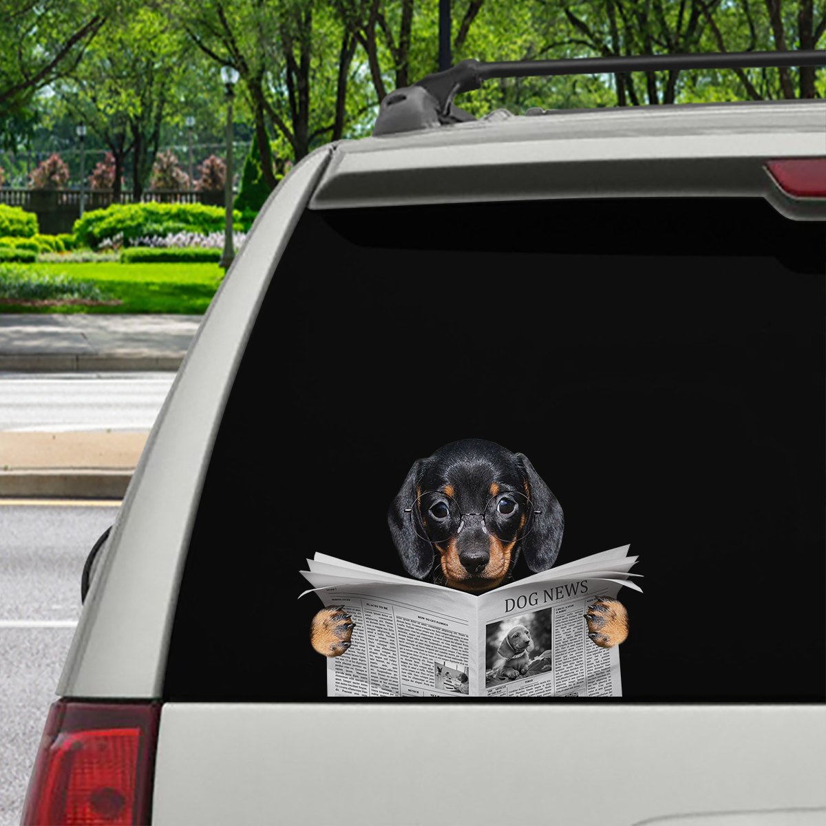 youve-never-seen-have-you-read-the-news-today-dachshund-car-door-fridge-laptop-sticker-v1-online-now_1.jpg