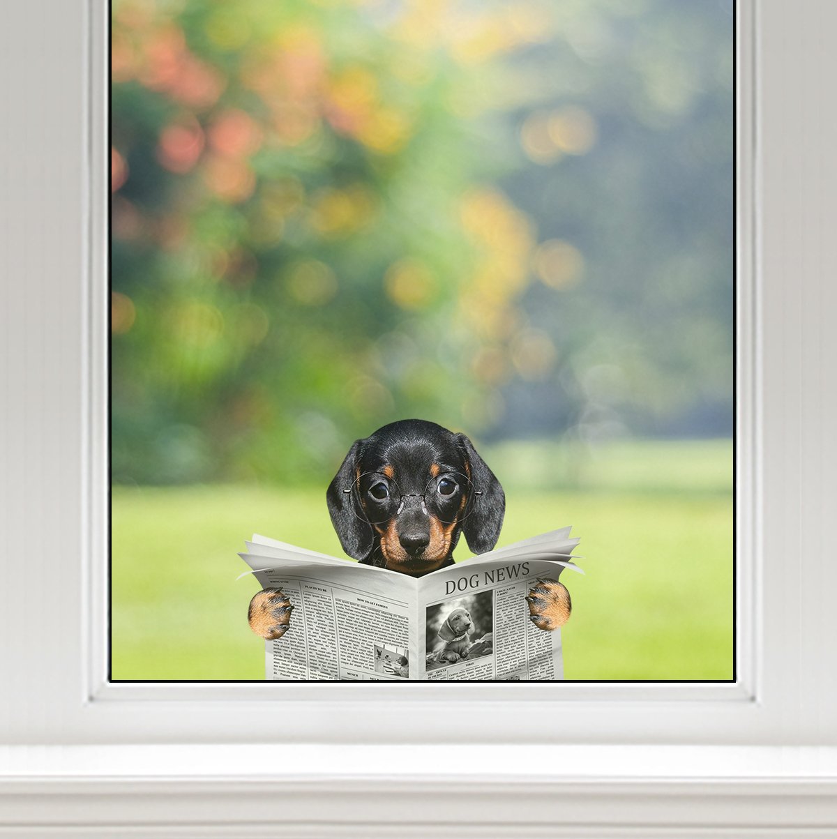 youve-never-seen-have-you-read-the-news-today-dachshund-car-door-fridge-laptop-sticker-v1-online-now_2.jpg